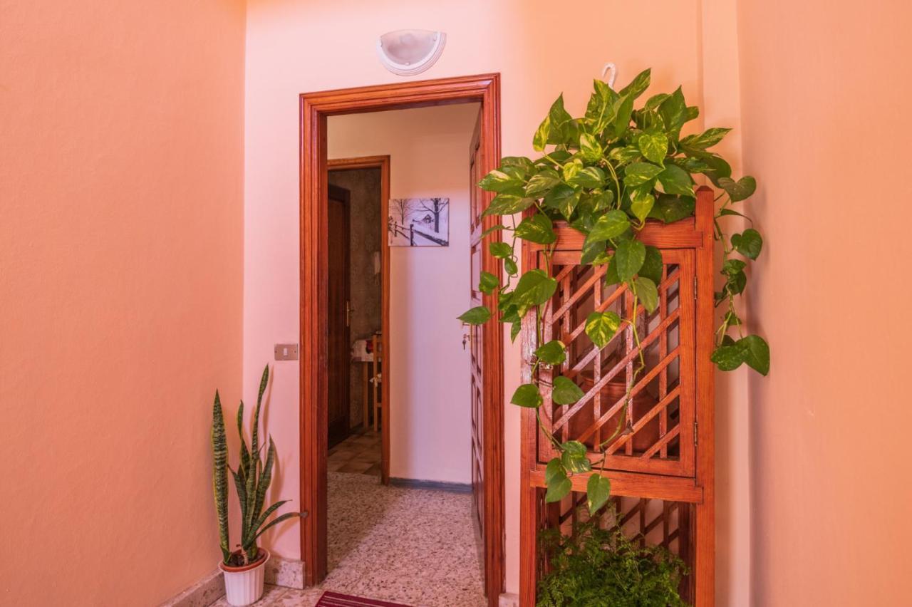 Piso Cerca Del Mar En Apartamento *